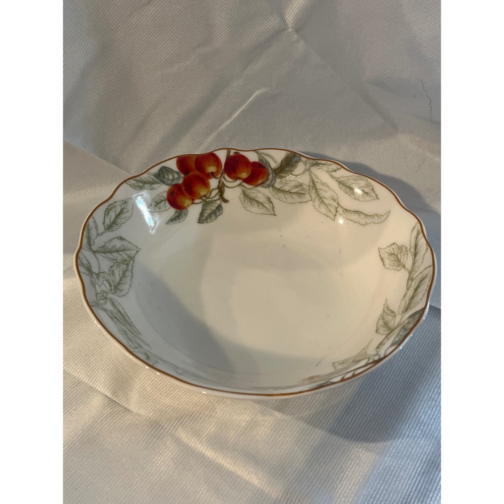 Charter Club Summer Grove Soup Cereal Bowl Scalloped Apple Botanical 1997 8.5"